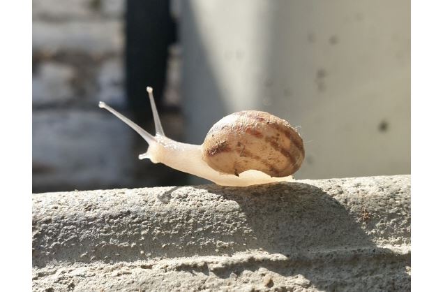 photo-prestataire - Deransy Arnaud