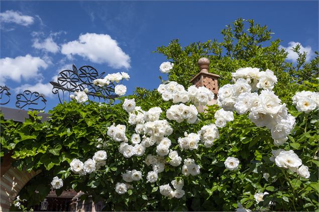 Allée des roses - Jardins secrets