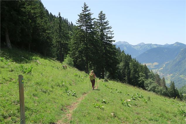 Randonnée à l'alpage de Tréchauffé - Lucie Tanguy / Vallée d'Aulps Tourisme