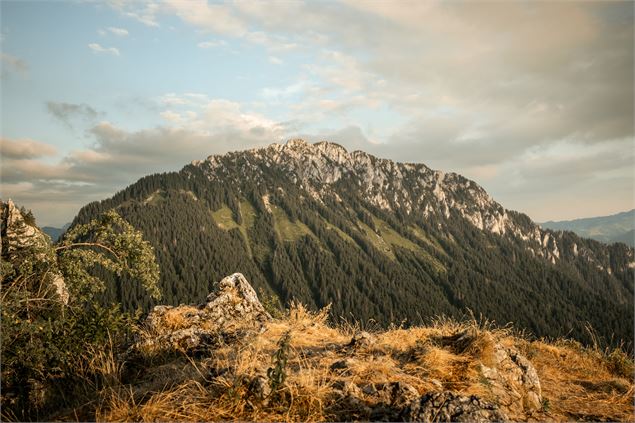 Randonnée à pied à la Pointe de Tréchauffé_La Forclaz - Lucie Tanguy / Vallée d'Aulps Tourisme