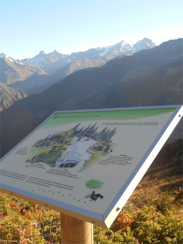 Table de lecture