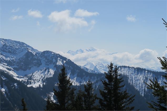 Mont Blanc - Victor Demilly / Vallée d'Aulps Tourisme