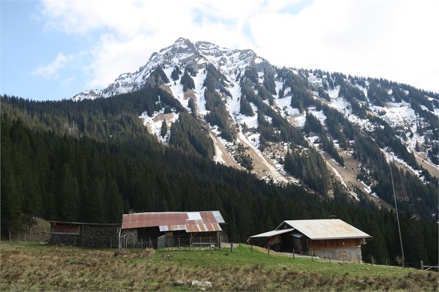 Pic de la Corne - Victor Demilly / Vallée d'Aulps Tourisme