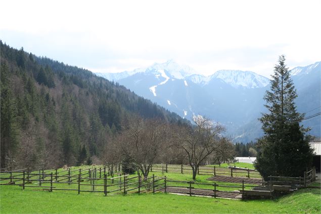 Roc d'Enfer - Victor Demilly / Vallée d'Aulps Tourisme