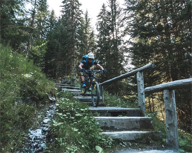 Bruson rouge - Verbier Tourisme
