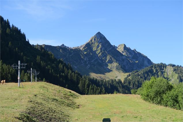 Le Roc d'Enfer - Victor Demilly / Vallée d'Aulps Tourisme