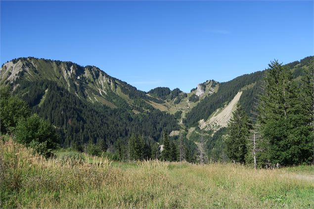 Vue depuis le sommet de la télécabine - Victor Demilly / Vallée d'Aulps Tourisme