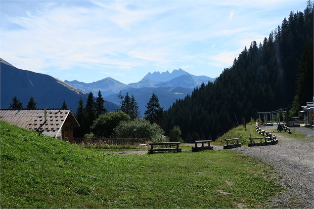 Vue sur les Dents du Midi - Victor Demilly / Vallée d'Aulps Tourisme