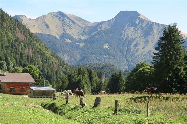 Vue sur les montagnes quand on entame la descente de Graydon - Victor Demilly / Vallée d'Aulps Touri