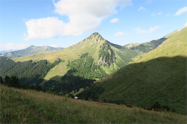 Randonnée à pied au Col Ratti_La Côte-d'Arbroz - Yvan Tisseyre / OT Vallée d'Aulps