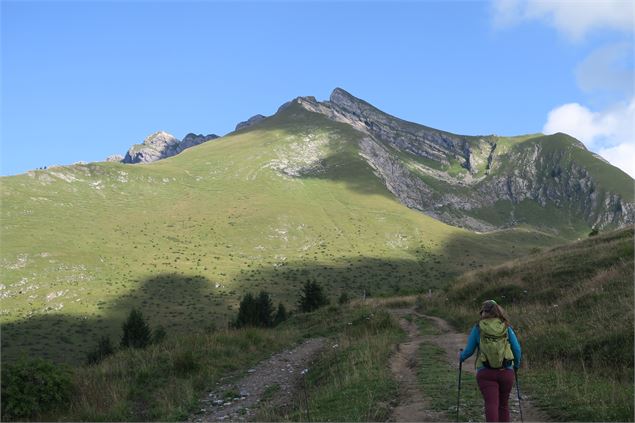 Randonnée à pied au Col Ratti_La Côte-d'Arbroz - Yvan Tisseyre / OT Vallée d'Aulps