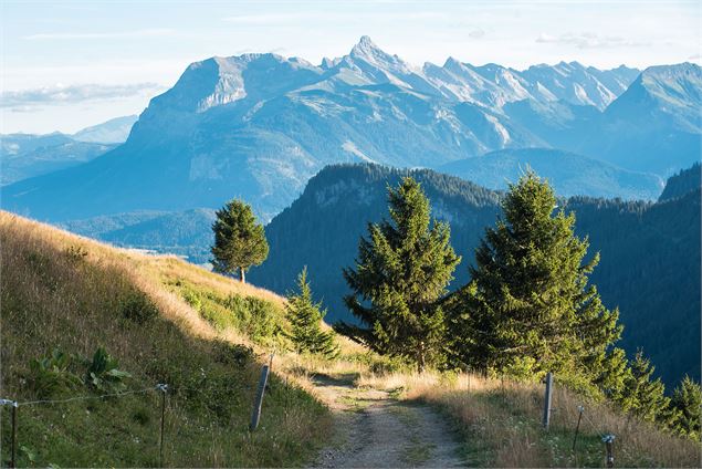 Le sentier avant le col de la Basse et la vue sur les sommets des Aravis - Yvan Tisseyre / OT Vallée