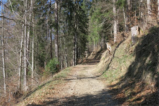 Chemin forestier vers la Chaux - Victor Demilly / Vallée d'Aulps Tourisme