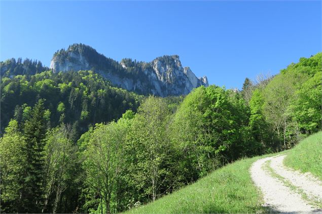 Randonnée pédestre : refuge de Mévonne_La Vernaz - Victor Demilly