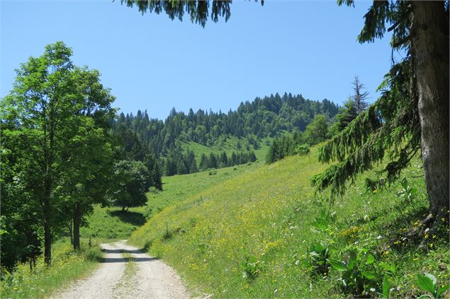 Randonnée alpage de Seytrouset - Victor Demilly / Vallée d'Aulps Tourisme
