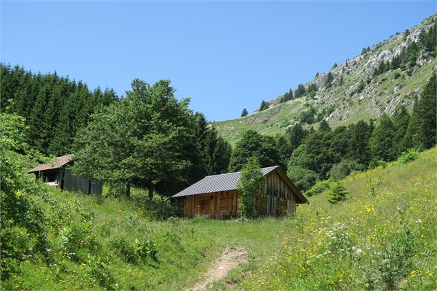 Chalet en bois Vallée d'Aulps - Victor Demilly / Vallée d'Aulps Tourisme