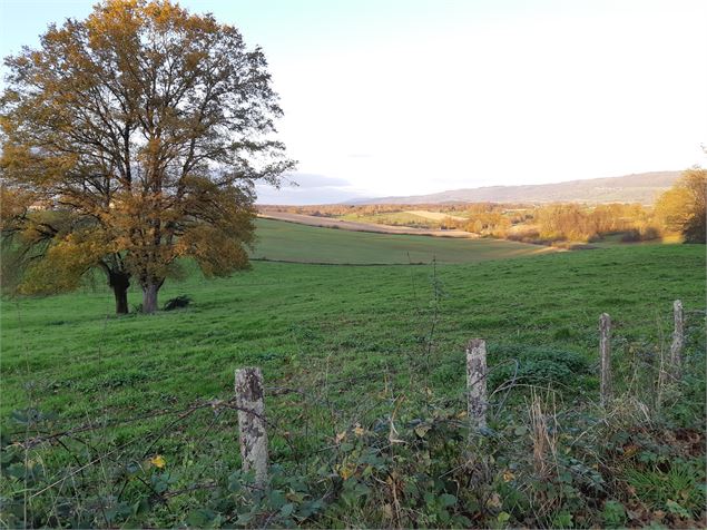 Balade autour de Pirajoux - scalland