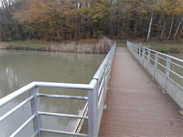 entre Beaupont et Domsure - scalland