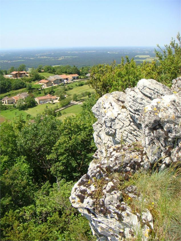 Randonnée - Les Conches, la sainte colline du Revermont