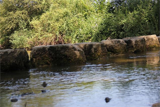 Gué sur le Suran - S.Calland