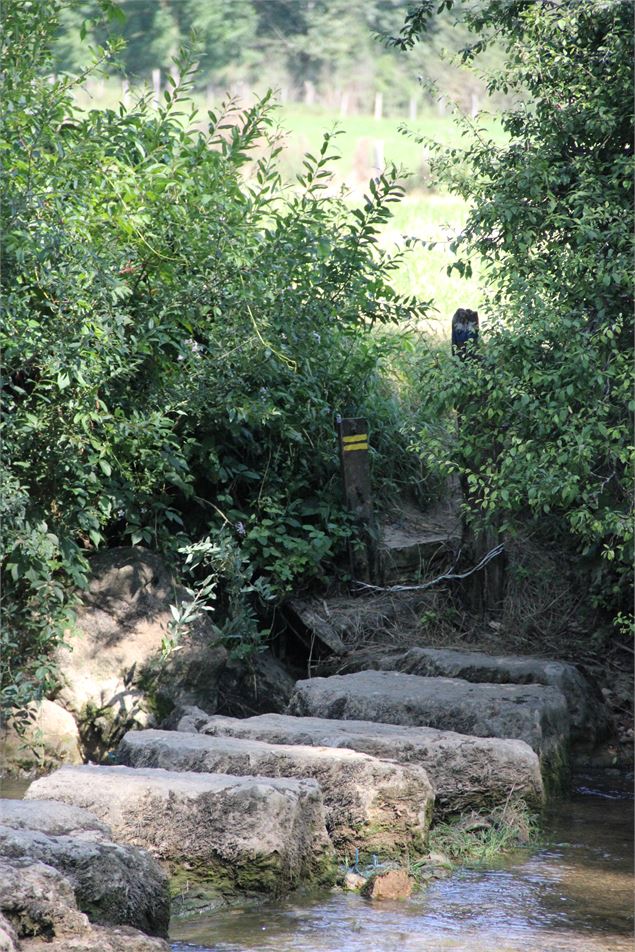 Gué sur le Suran - S.Calland