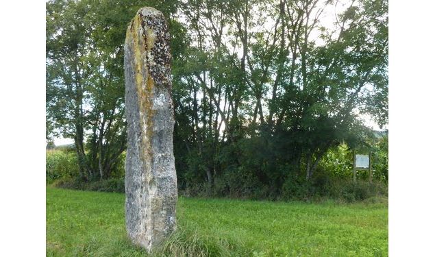 Menhir de Pierre Fiche - Simandre-sur-Suran - S.Calland