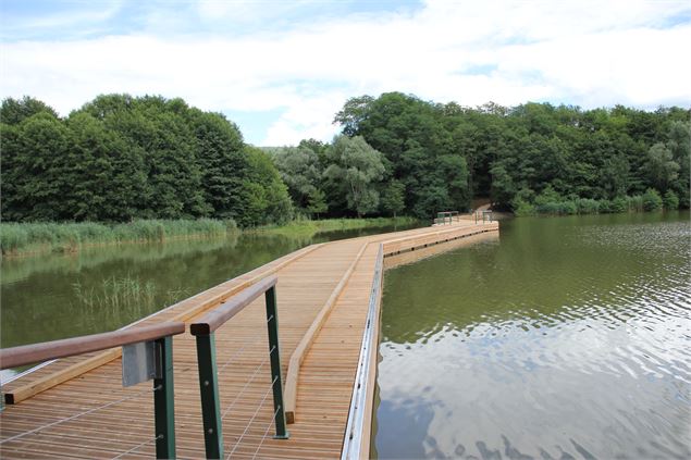 Balade  - Passerelle flottante de la Grange du Pin