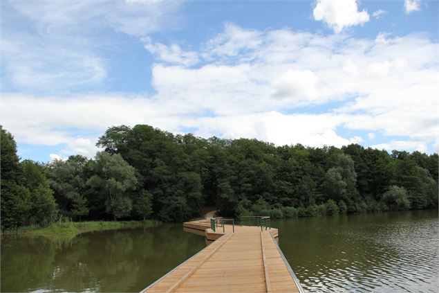 Balade  - Passerelle flottante de la Grange du Pin