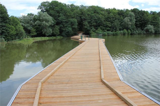 Balade  - Passerelle flottante de la Grange du Pin