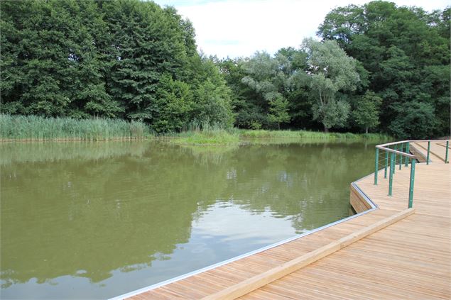 Balade  - Passerelle flottante de la Grange du Pin