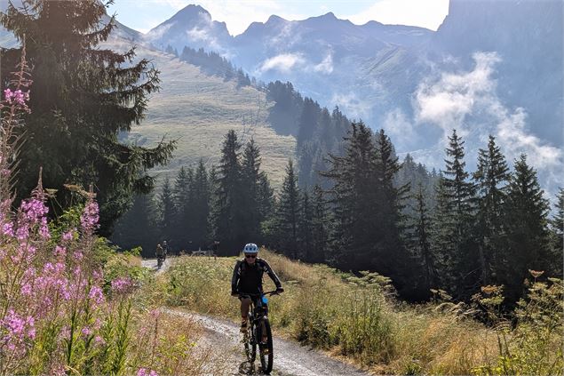 Itinéraire VTT Crosscountry n°19 - Le Tour de l'Andran_Manigod - OT Manigod