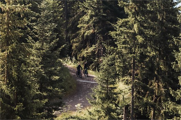 Itinéraire VTT Crosscountry n°19 - Le Tour de l'Andran_Manigod - OT Manigod