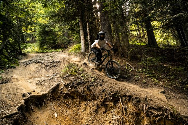 Piste VTT Coup de fouet du Bike Park de Châtel - L.Meyer - Châtel