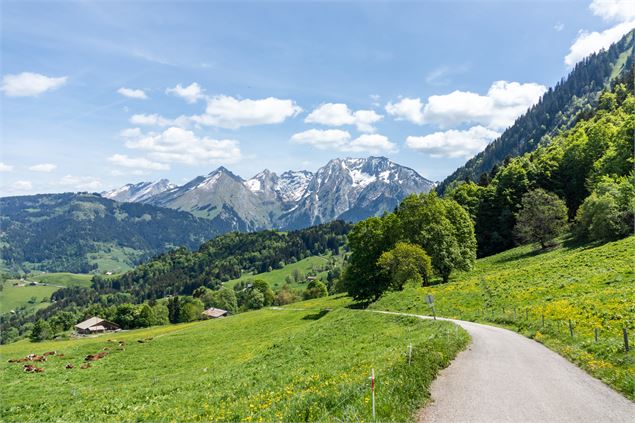 Sentier pédestre et VTT sur la montagne de Sulens - Office de Tourisme Thônes Coeur des Vallées