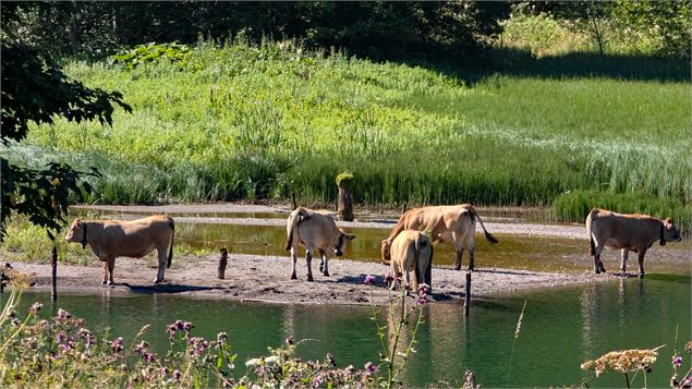Lac de Vallon_Bellevaux - OTADL