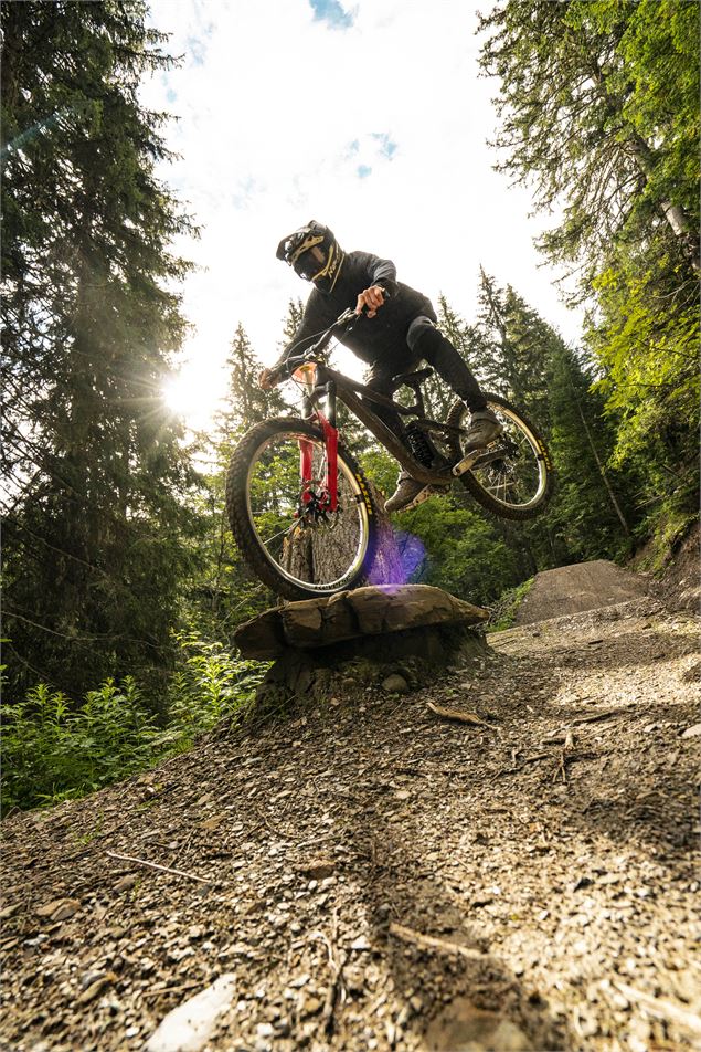 Vététiste à l'atterrissage après un saut sur la piste Ric et Rac - L.Meyer - Châtel