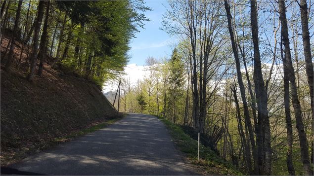 Col de Plan Bois depuis Les Clefs - © Savoie Mont Blanc - Lansard