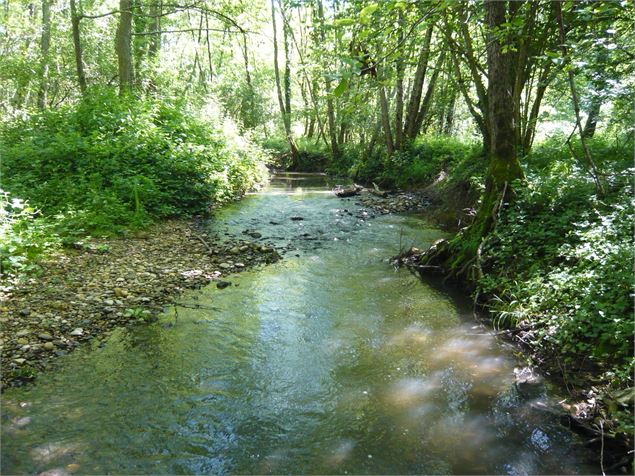 Circuit pédestre : Lac Neyton et le Merdanson - M-Art Photographie
