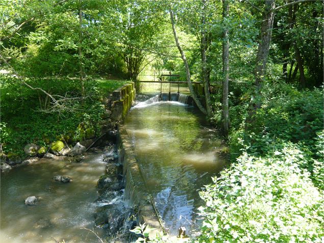 Circuit pédestre : Lac Neyton et le Merdanson - M-Art Photographie