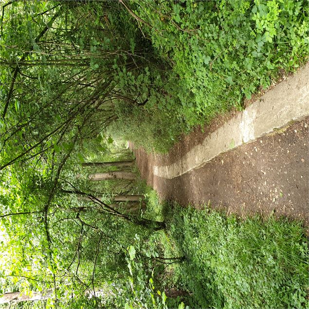 Circuit pédestre : Lac Neyton et le Merdanson - M-Art Photographie