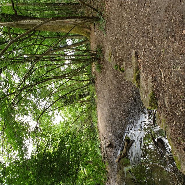 Circuit pédestre : Lac Neyton et le Merdanson - M-Art Photographie