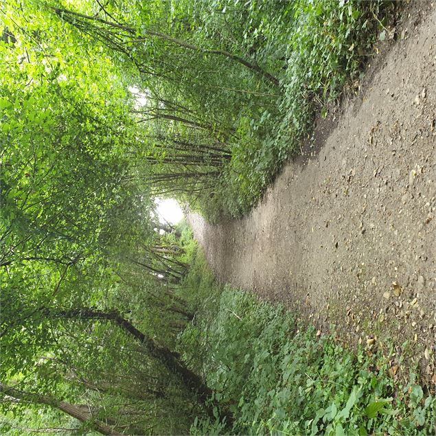 Circuit pédestre : Lac Neyton et le Merdanson - M-Art Photographie