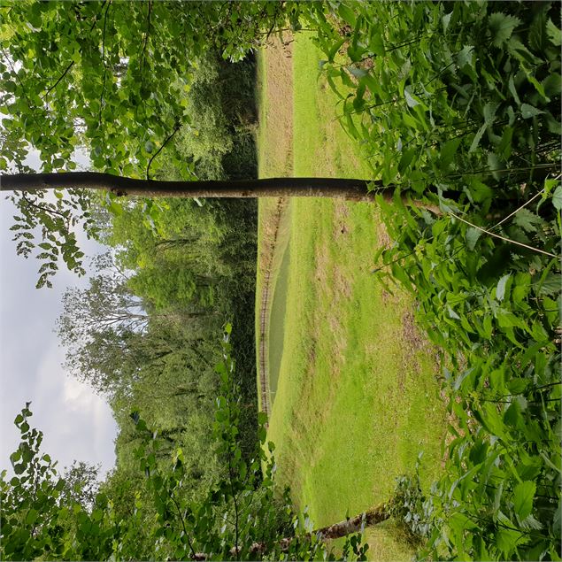 Circuit pédestre : Lac Neyton et le Merdanson - M-Art Photographie