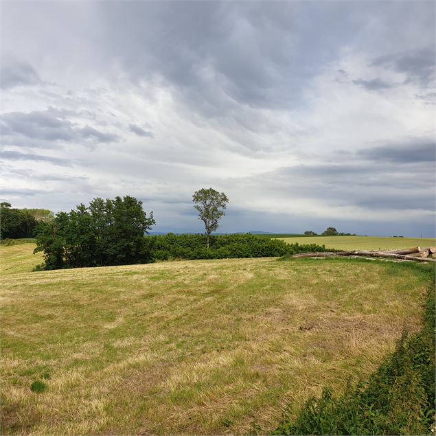 Circuit pédestre : Lac Neyton et le Merdanson - M-Art Photographie
