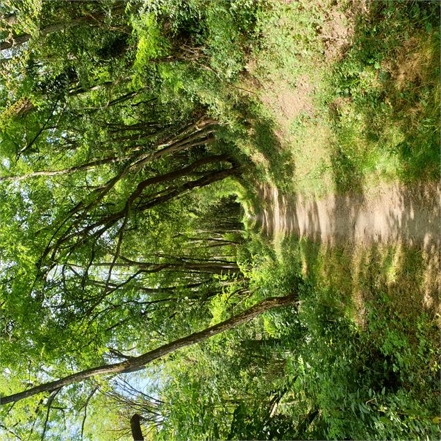 Circuit pédestre : Du plateau de La Boisse aux hauteurs de Montluel - Mairie La Boisse