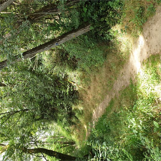 Circuit pédestre : Du plateau de La Boisse aux hauteurs de Montluel - Mairie La Boisse