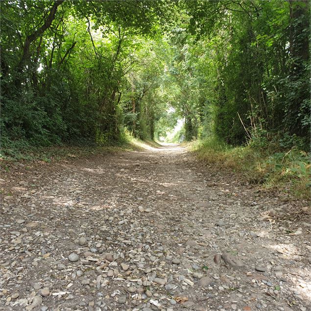 Circuit pédestre : Du plateau de La Boisse aux hauteurs de Montluel - Mairie La Boisse
