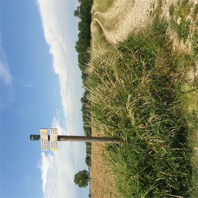 Circuit pédestre : Du plateau de La Boisse aux hauteurs de Montluel - Mairie La Boisse