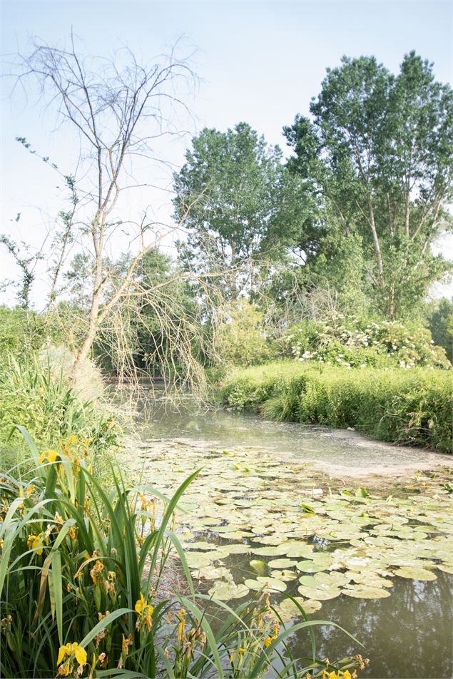 Circuit pédestre Balan : Entre Lônes et Rhône - OT 3CM