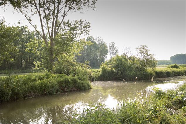 Circuit pédestre Balan : Entre Lônes et Rhône - OT 3CM